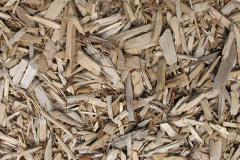 biomass boilers Hart